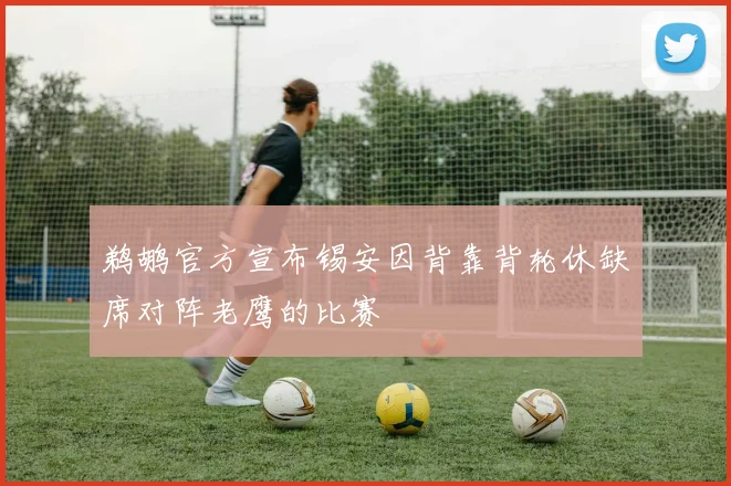 鹈鹕官方宣布锡安因背靠背轮休缺席对阵老鹰的比赛