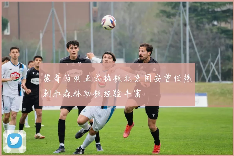 蒙哥马利正式执教北京国安曾任热刺和森林助教经验丰富