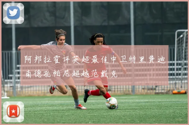 阿邦拉霍评英超最佳中卫特里费迪南德孔帕尼超越范戴克