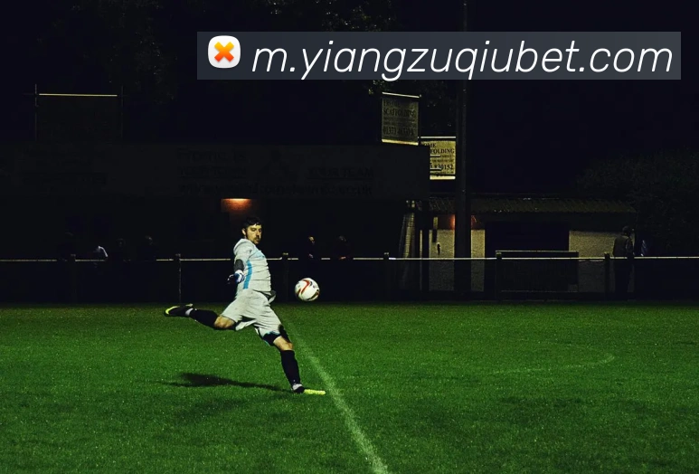 意昂体育平台生态图